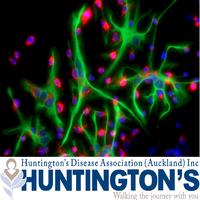 Huntington's Disease Association (Auckland) Inc