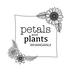 Petals and Plants Whanganui