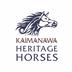 Kaimanawa Heritage Horses's avatar