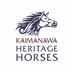 Kaimanawa Heritage Horses