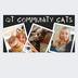 QT CATs's avatar