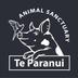 Te Paranui Animal And Farm Sanctaury Trust