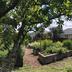 Waiutuutu Community Garden