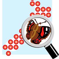 iNaturalist NZ — Mātaki Taiao