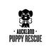 Auckland Puppy Rescue