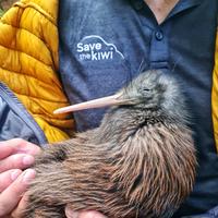 Save the Kiwi