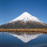 Te Whenua Tōmuri Trust