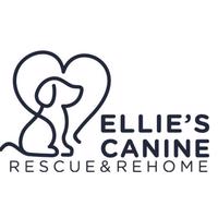 Ellie's Canine Rescue and Rehome