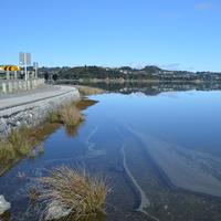Rotary Club of Plimmerton