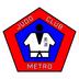 Metro Judo Club