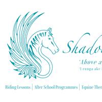 Shadowhawk Equine