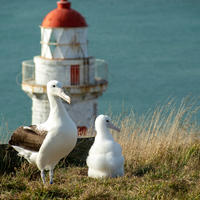 Otago Peninsula Trust