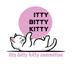 itty bitty kitty committee