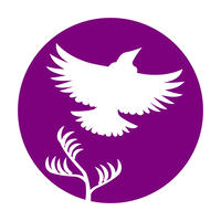 Whangarei Rape Crisis