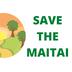 Save the Maitai Incorporated's avatar
