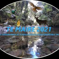 Ngai Tamawhariua Ki Te Rereatukahia Taiao Charitable Trust