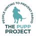 The PUPP Project