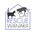 Cat Rescue Wanaka