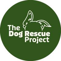 Chained Dog Rehabilitation & Rehoming