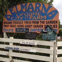 Kelmarna Community Garden Trust (ACCOUNT CLOSED)