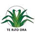 Te Rito Ora Breastfeeding Support