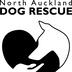 North Auckland Dog Rescue NADR's avatar