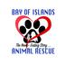 Bay of Islands Animal Rescue's avatar
