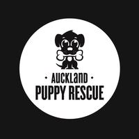 Auckland Puppy Rescue