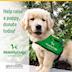 Mobility Assistance Dogs Trust