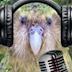 The Great NZ Jingle-Jam-Along