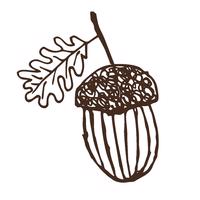 The Acorn Project Hawke’s Bay