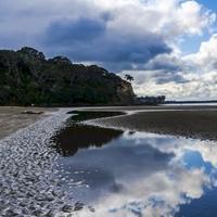 Save Okura - Long Bay Okura Great Park Society