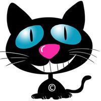 STRATFORD COMPANION ANIMAL ASSISTANCE TRUST t/a The Scratching Post