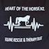 Heart Of The Horse. NZ Equine Rescue & Therapy Trust's avatar