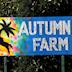 Autumn Farm