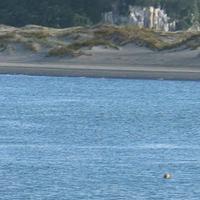 Mangawhai Ratepayers and Residents Association