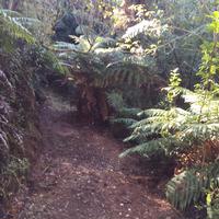 Pendergrast Memorial Heritage Park Trust