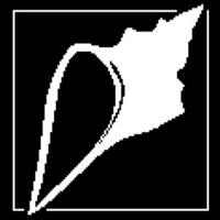 The Conch Charitable Trust