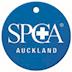 SPCA Auckland's avatar