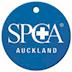 SPCA Auckland's avatar