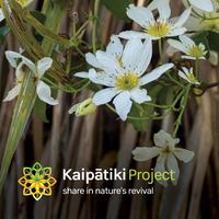 Kaipatiki Project