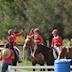 Otumoetai Te Puna Pony Club