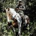 Wkakamarama Horse Trek Fundraiser. Cyclone Gabrielle