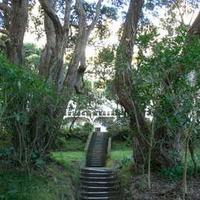 The Save Erskine College Trust Inc (SECT)