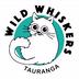 Wild Whiskers Tauranga's avatar