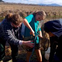 Working Waters Trust