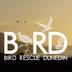 Bird Rescue Dunedin