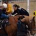 Tauranga Riding for the Disabled's avatar