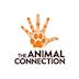 The Animal Connection's avatar