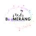 Boomerang (Young Enterprise)